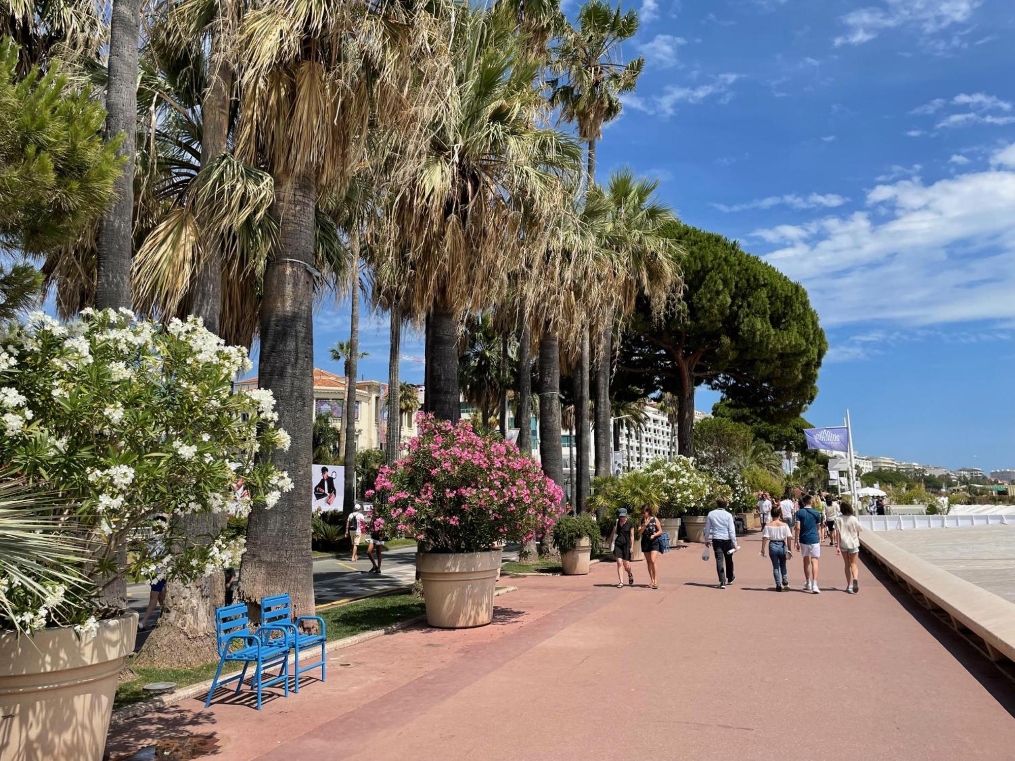 Beautiful Apartment Cannes Center Terrace Parking Eksteriør billede